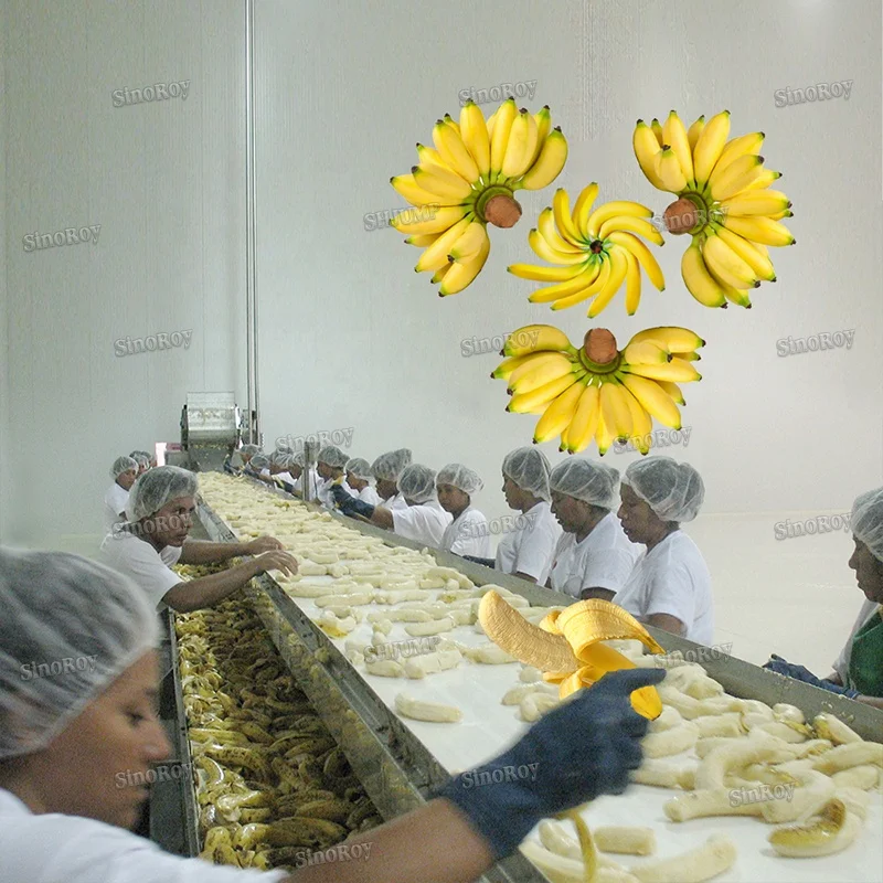 1 Tons Per Hour Banana Chips Processing Line/Banana Chips Processing Plant/Banana Chips Production Line
