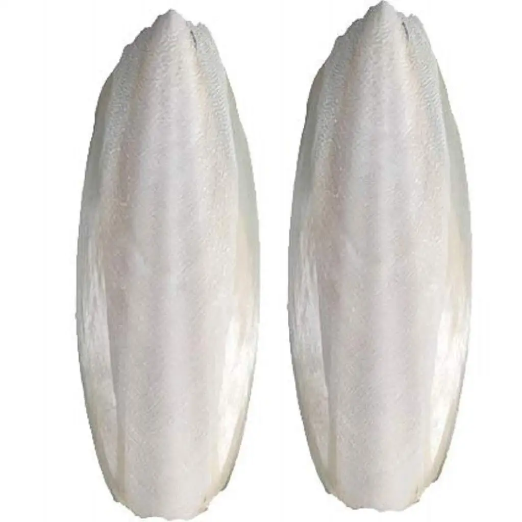 
Best Cuttlebone Cuttlefish Sepia Bone Cuttle Fish Bird Food From Vietnam  (10000000219414)