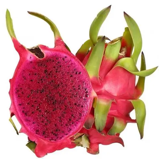 Red Dragon Fruit from Vietnam - Low price for export 100% High Quality Fruit