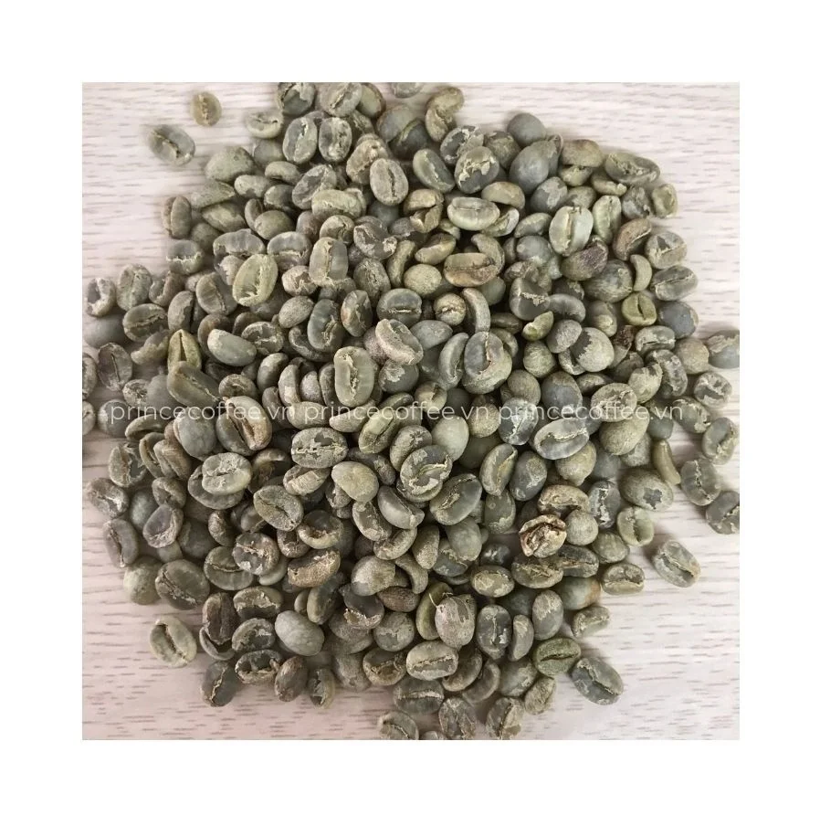 Новое поступление, 18 зеленых кофейных зерен scr, высококачественные вьетнамские зеленые кофейные зерна, необработанный кофе