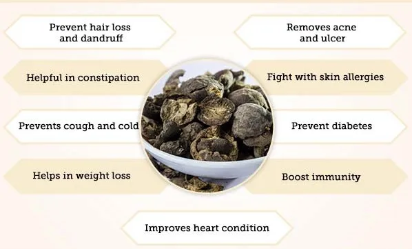 Himej Organic Powder also known as Terminalia Chebula