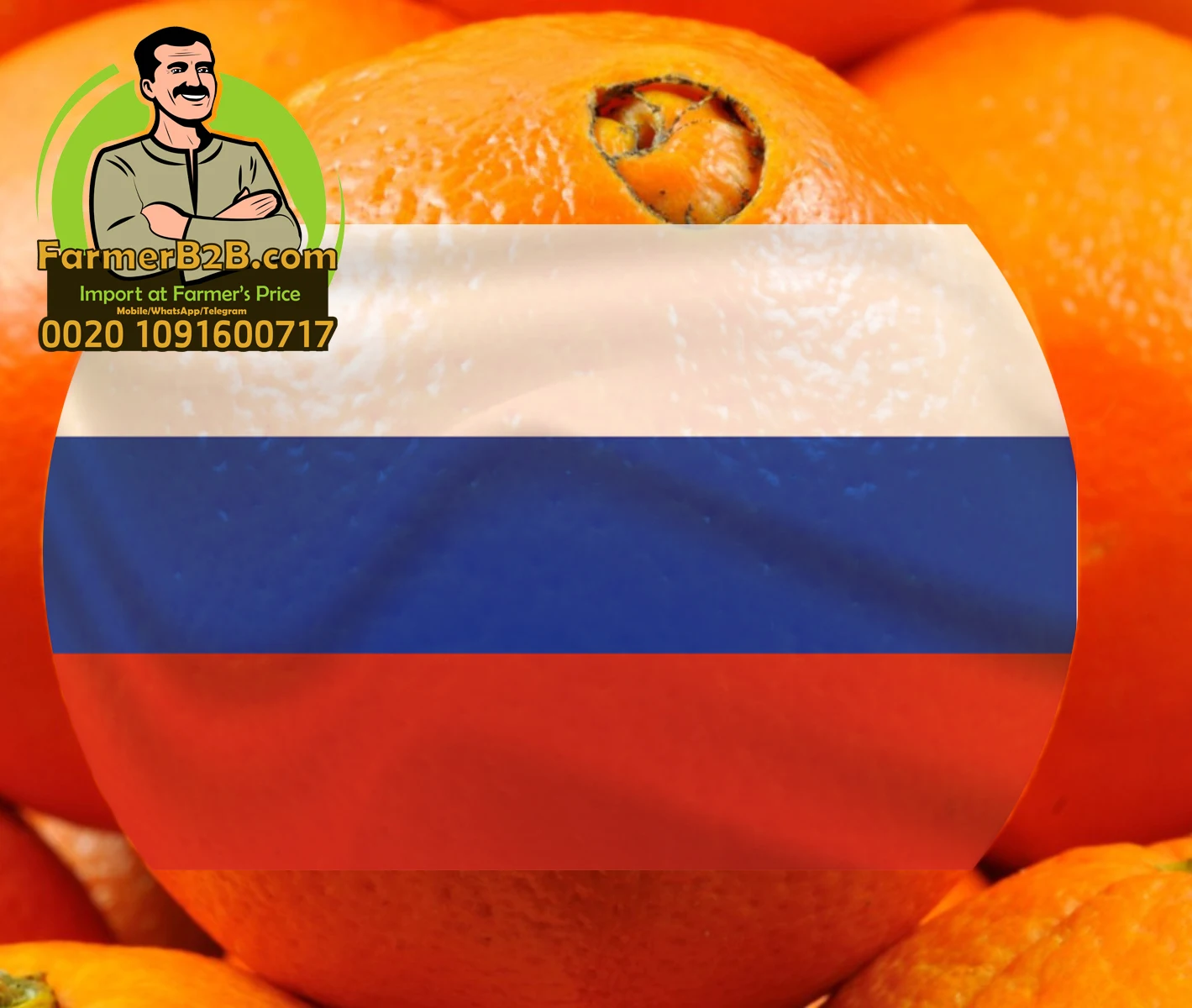 Особая скидка для российских 2021/2022 Египетский свежий оранжевый пупок теперь доступен бронирования (Высшее