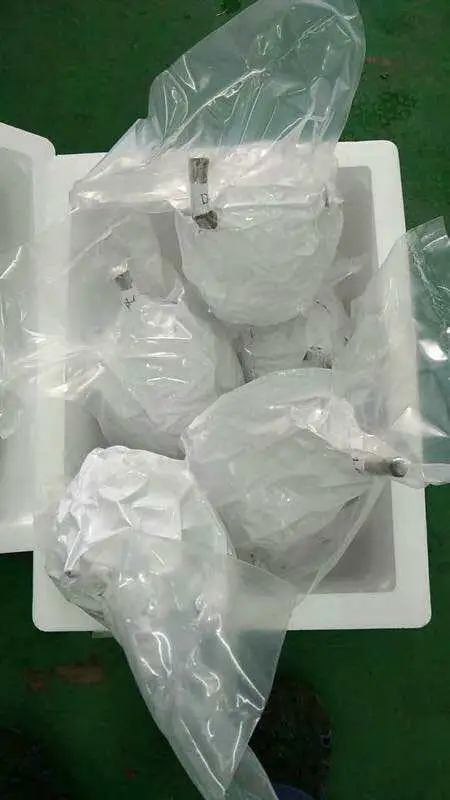 
Premium Nitrogen Frozen Durian Musang King (D197) Mao Shan Wang Malaysia (Whole Fruit) 