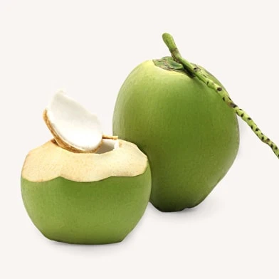 Fresh Young Coconut With High Standard From Vietnamese Supplier