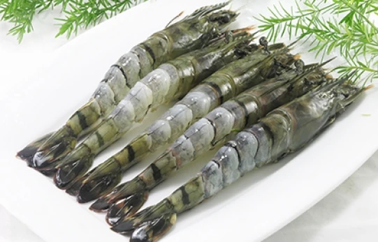 High quality Wholesale Raw HOSO Black Tiger Prawn, Head On Shell On Fresh seafood best for export made in Vietnam on sale