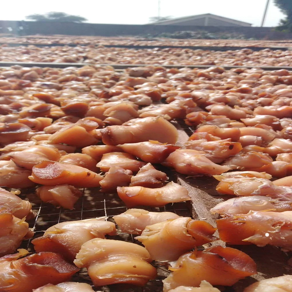 
Dried Conch-Frozen Conch-Dried Conch Meat Wholesale Delicious Good Quality Seafood Snacks 