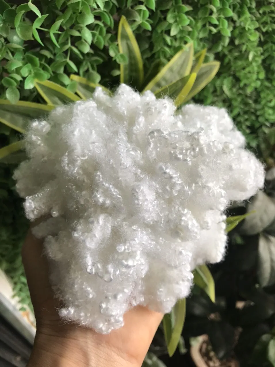 Hollow Conjugated Siliconized Polyester Staple Fiber  white color A grade