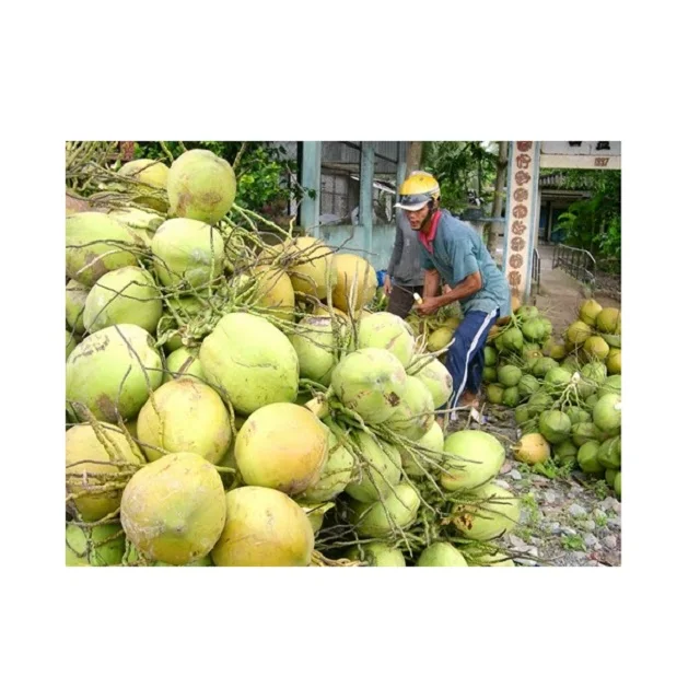 
Wholesale for Vietnamese Sweet Fresh Young Coconut - High Quality Coconut Oil from Vietnam - Coconut Water Export to EU, USA 