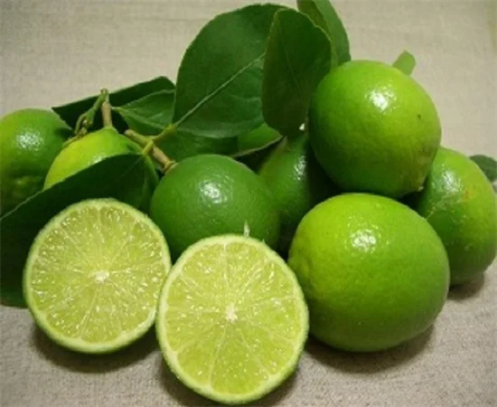 
Supplying frozen lime/lemon juice from Vietnam with best price_Vikafoods (+84983028718) 