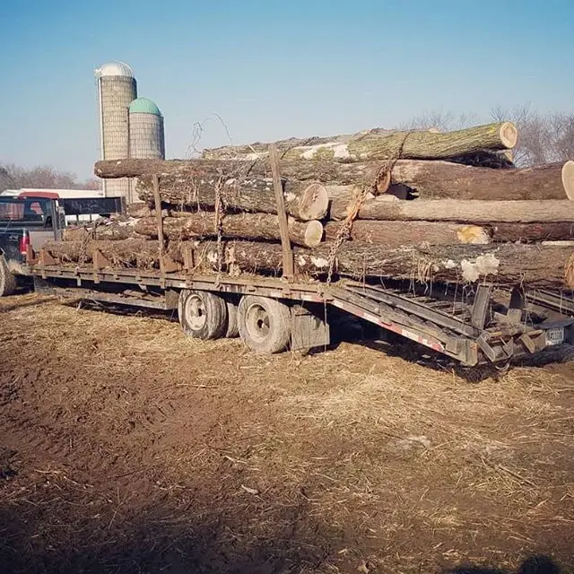 Buy Europe White Oak Bilinga Wood Round Logs For Sale