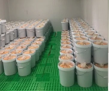 2022 Best Frozen passion fruit - Passion fruit  Cubes Diced -100% passion fruit puree from VietNam with LC/TT at sight