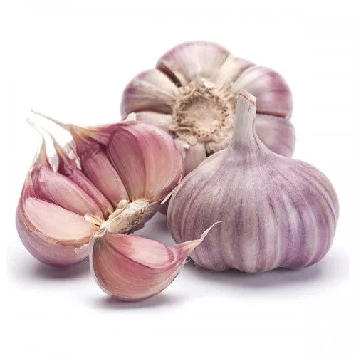 Fresh Garlic Price Bulk Garlic for Sale Garlic from China Factory Pure White Style Packing Organic Weight Origin Type Size Rough