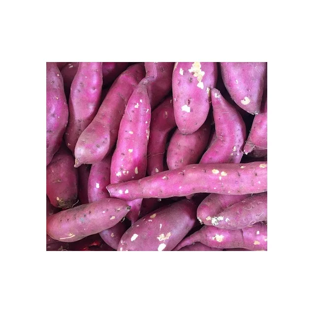 Бесплатный налог-оптовая продажа для японского крахмала сладкого картофеля/муки картофеля по низкой цене Global Gap Вьетнам сладкий свежий картофель