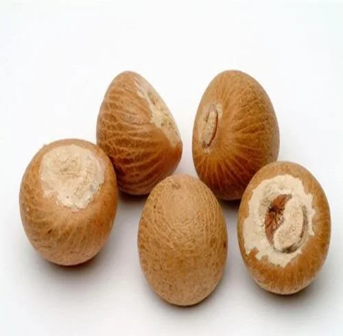 Bulk Dried Betel Nuts For Sale