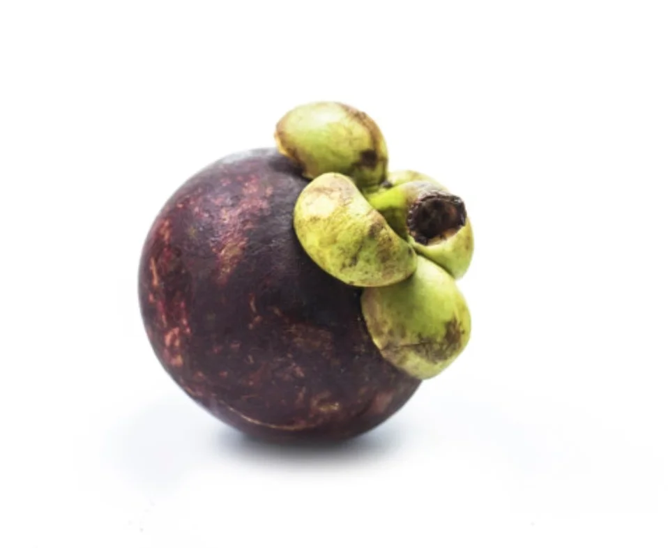 Mangosteen Fresh Organic Fresh Mangosteens From Thailand Fresh Natural MANGOSTEEN