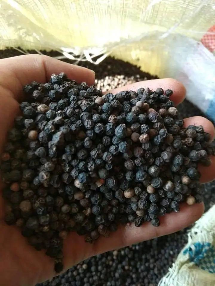 Hot Spices For Sale Vietnam Black Pepper