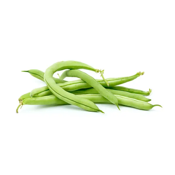 
IQF frozen green beans 