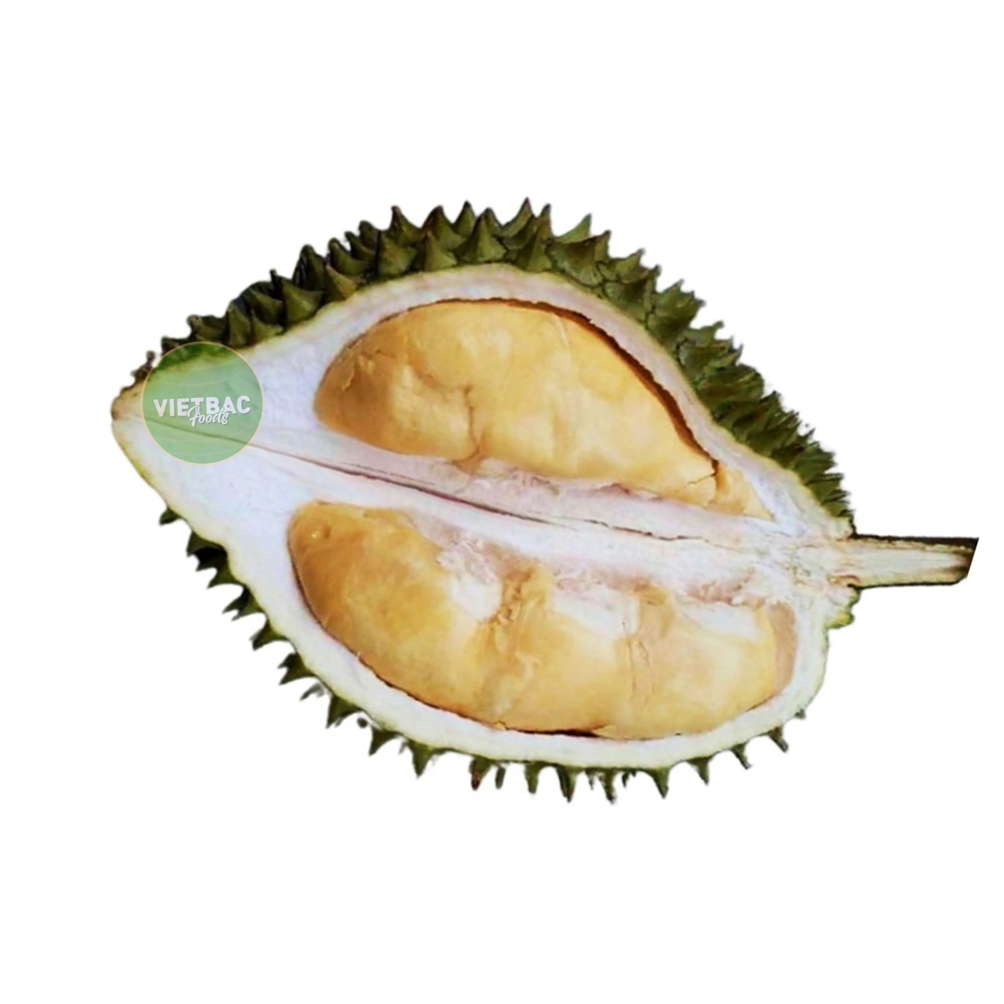 
Durian Fruit 