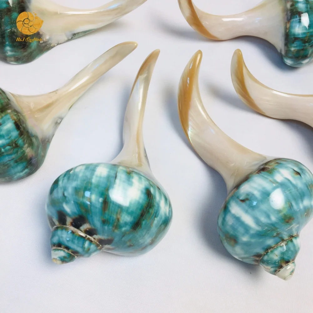 Eco-friendly Chopsticks Holder Polished Green Conch Shell Chopstick Rest Handmade Tableware Chopstick Holder