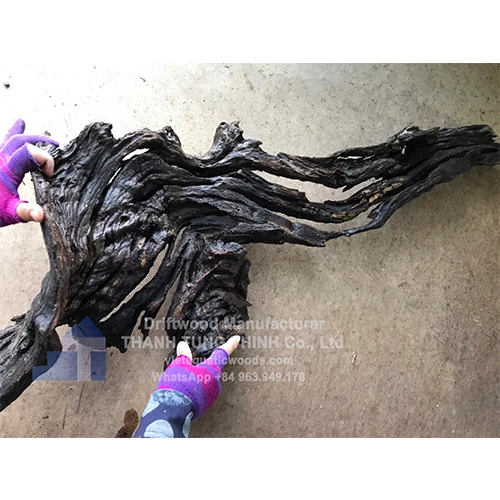 High quality natural driftwood for aquarium decorations wholesale WhatsApp: +84 961005832