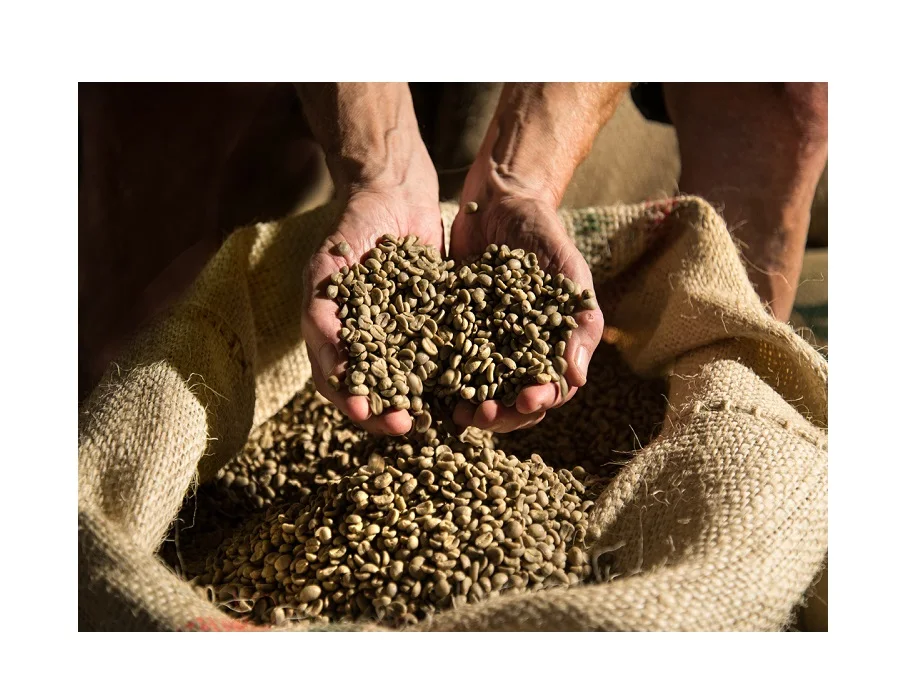 Green Coffee Bean Max Bag OEM Packing Packaging Plastic Jute Weight Shelf Raw Origin Type Life Variety Grade Service Price Place