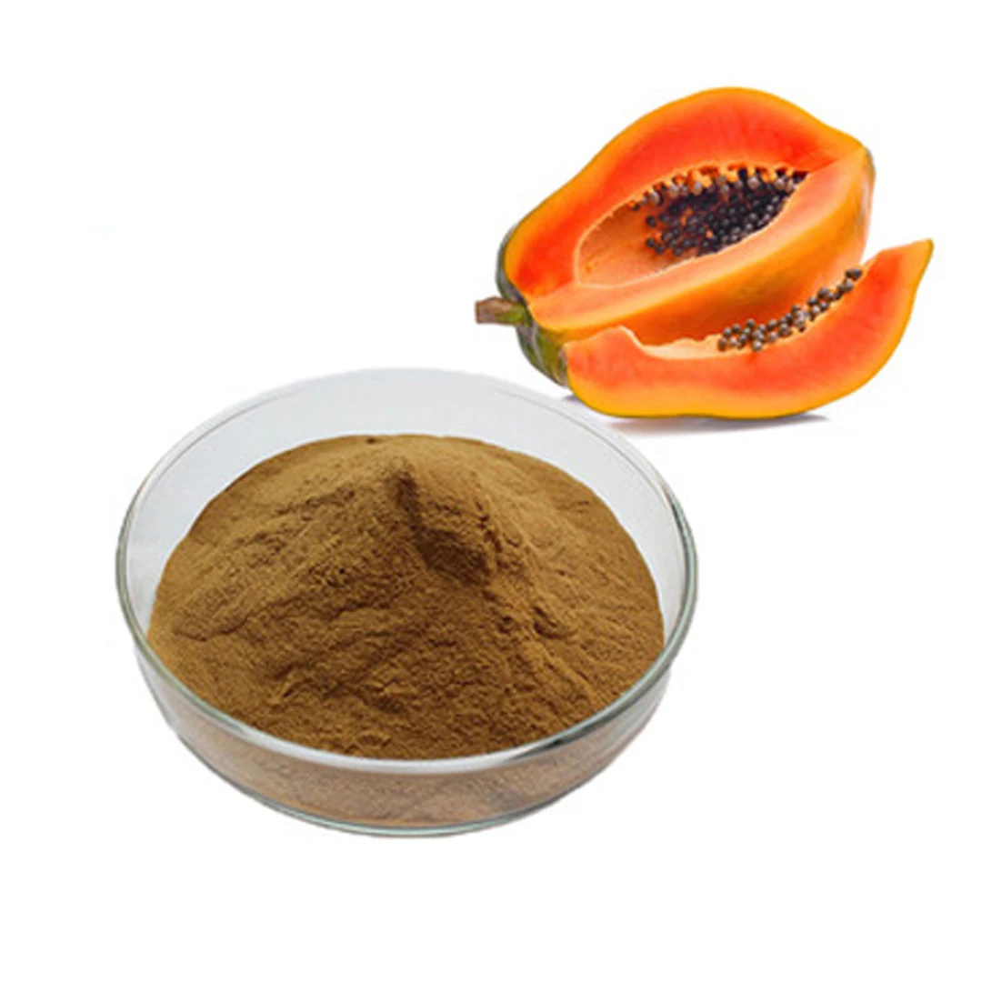 Good Quality Private Label Top Selling Papaya Extract for Bulk Purchase from Indian Exporter