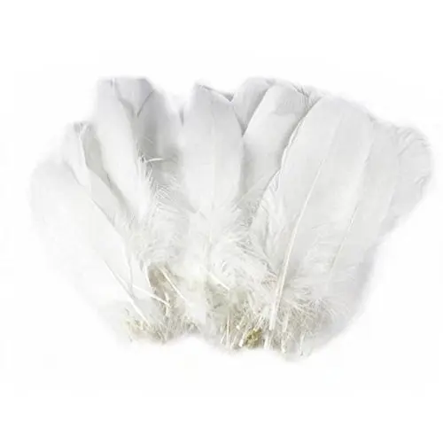 [NEW] High Quality Duck Feathers - Cleaned and Blood Removed - Ms. May + 84 904183651