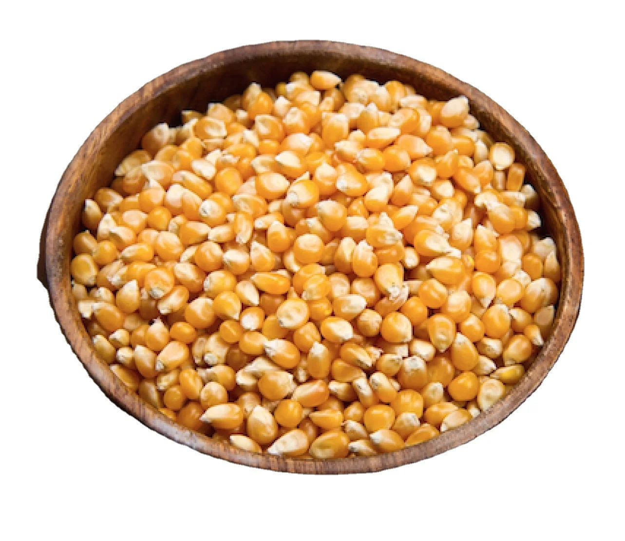Indian Yellow Maize Crop latest 2022 Stock Available For Export At Wholesale Rate Ready To Ship Quantity