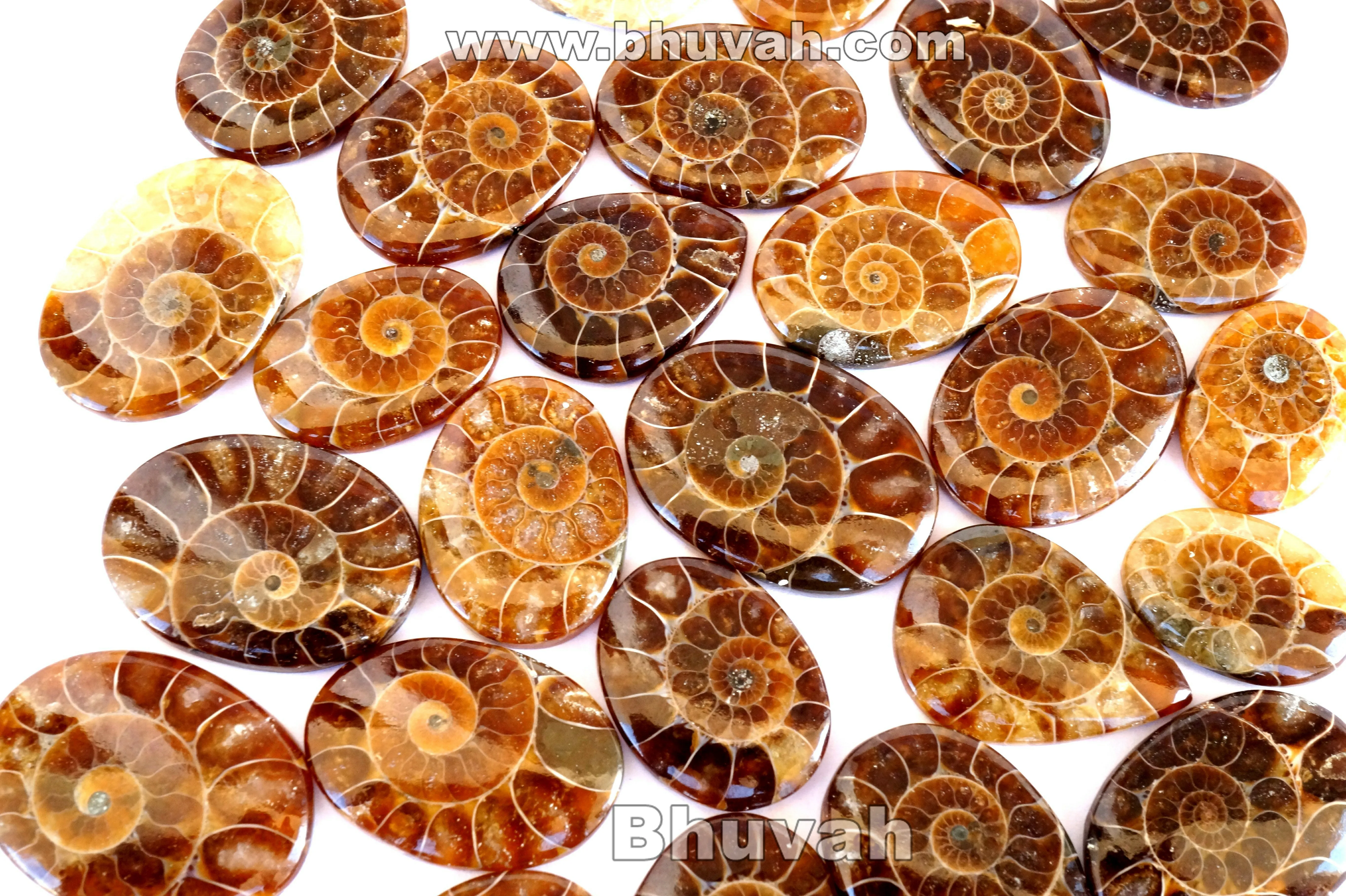 Highest Top Selling Assorted Quality Wholesale Price Bulk Lot Sale Loose Jewelry Gemstone Cabochon Stone Natural Ammonite