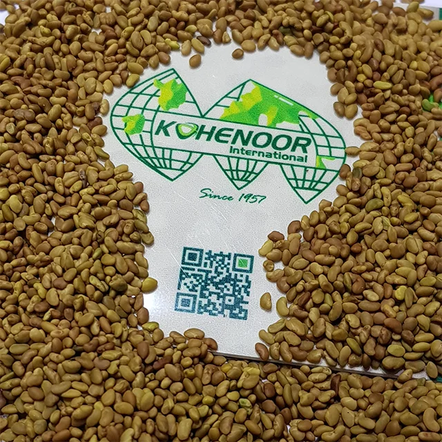 Lucerne Seed