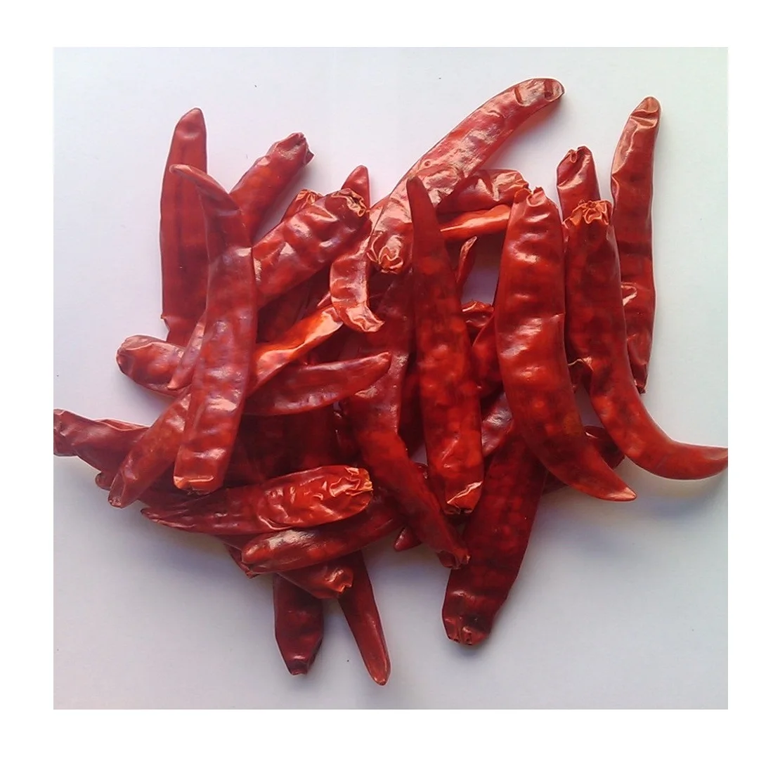Indian Single Spices & Herbs Best Selling 100% Natural Spicy Taste Food Flavor Pure Red Chili Pepper Whole
