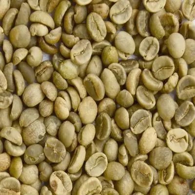 Green Arabica coffee bean export price raw coffee beans