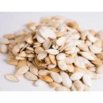 
High Quality Pumpkin Seed 