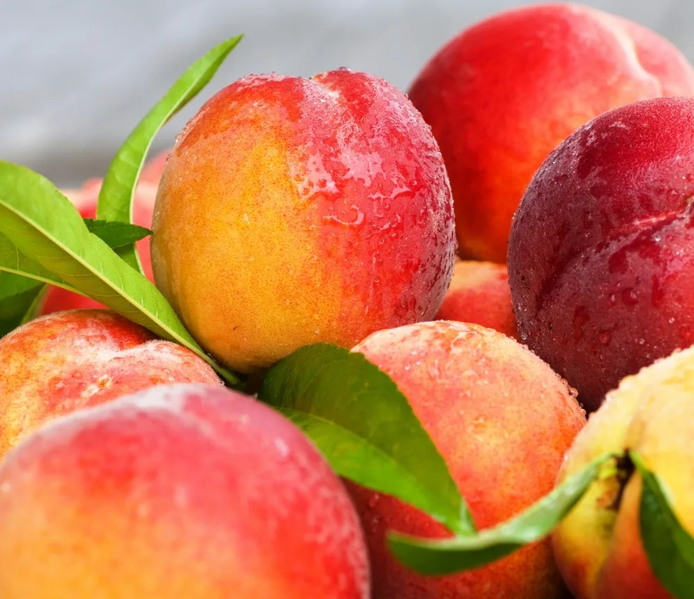 
Fresh Sweet Peaches 