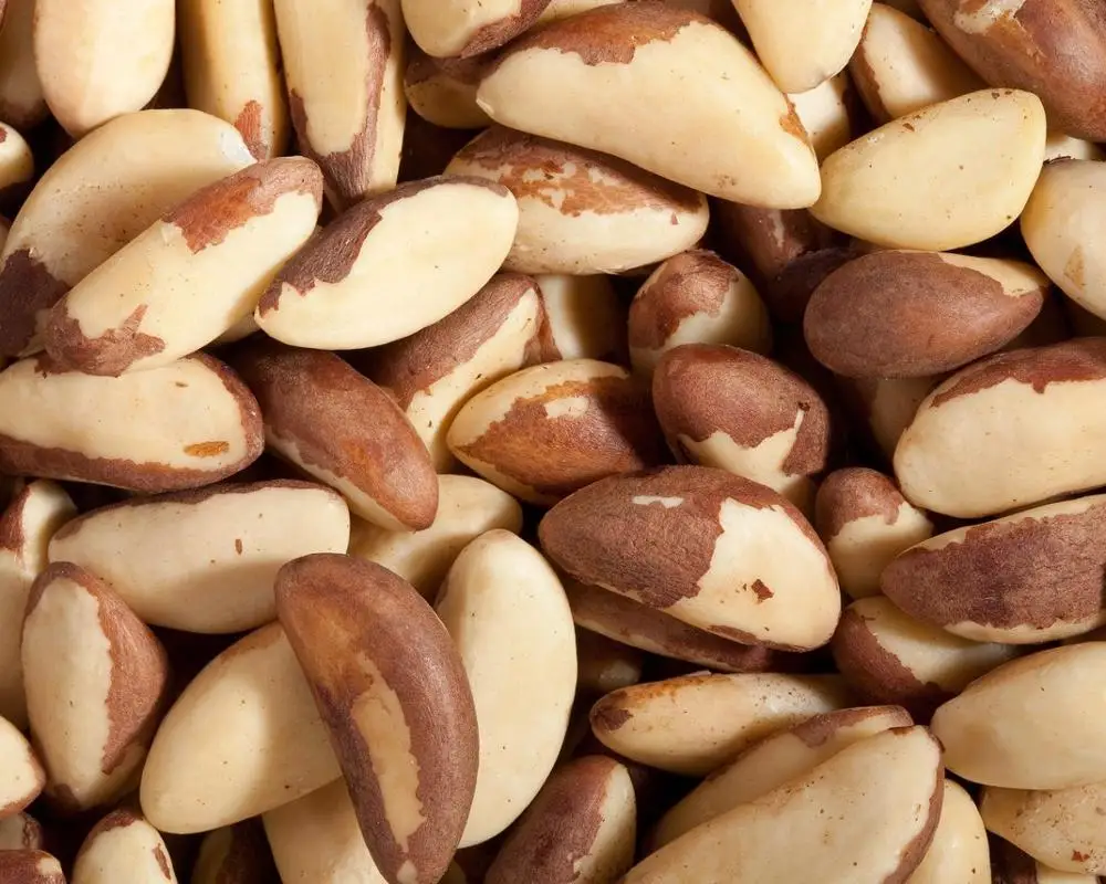 
100% Top Grade Brazil Nuts 