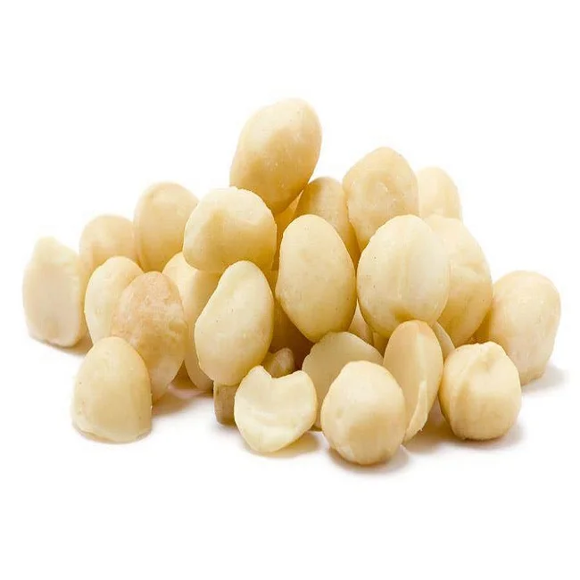Raw organic Macadamia nuts with shell and Without for sale