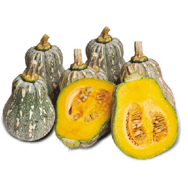 Cheap export pumpkins/ Jasmine +84 896679047