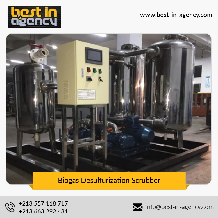 20~500 Nm3/H Biogas Flow Constant Pressure Feed to Generator Stainless Steel Biogas Desulfurization Scrubber