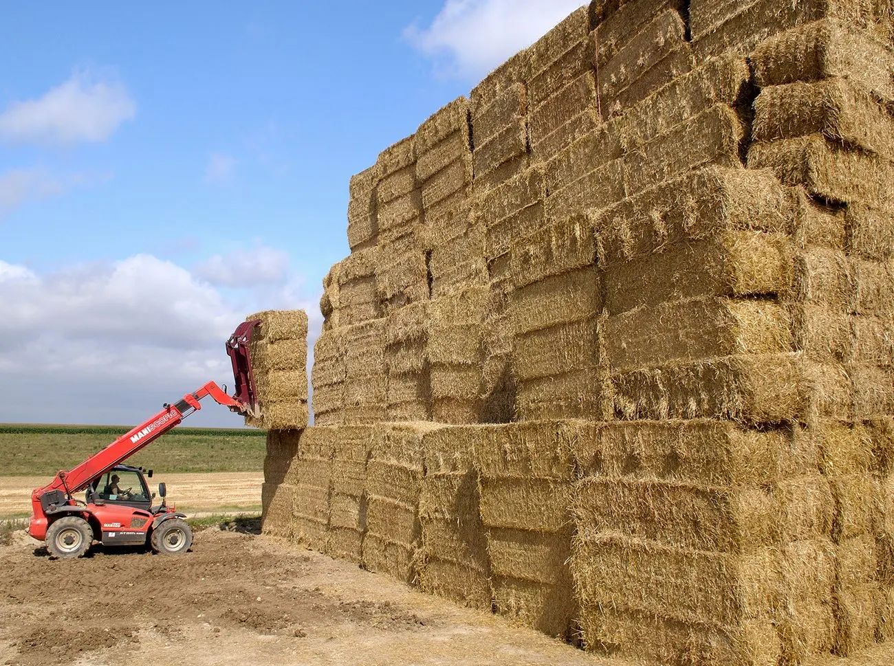 Prime Quality Wheat Straw Hay For Animal Fodder/Excellent Quality Yellow Straw Hay Export From Pakistan / Import Wheat Straw Hay