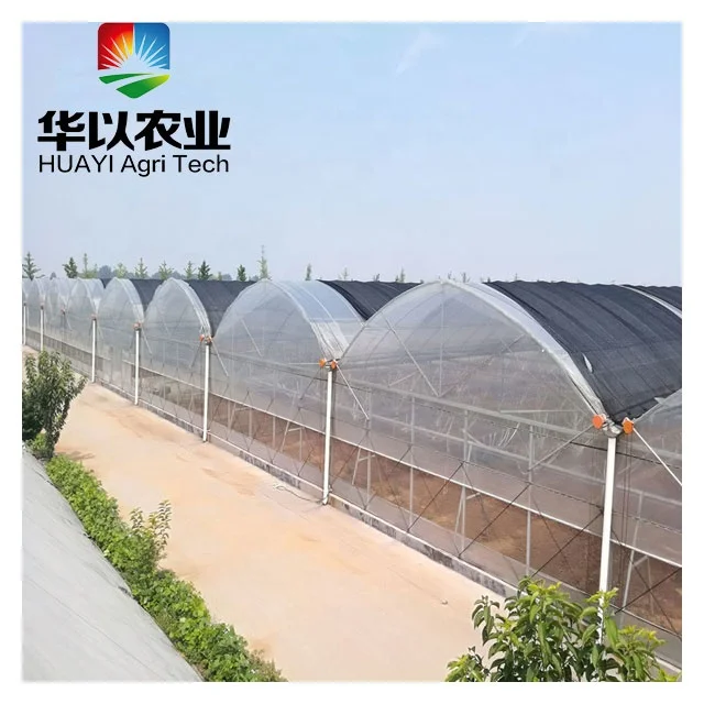 Plan growing multispan greenhouse plastic film large commerical greenhouse