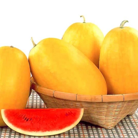 
 2021 высокопроизводительная желтая кожа/гибридные семена арбуза красного цвета по оптовой цене F1  