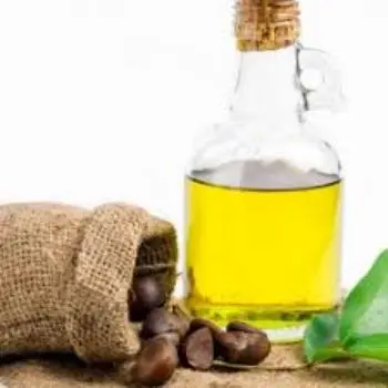 
Refined Camellia cooking Oil 