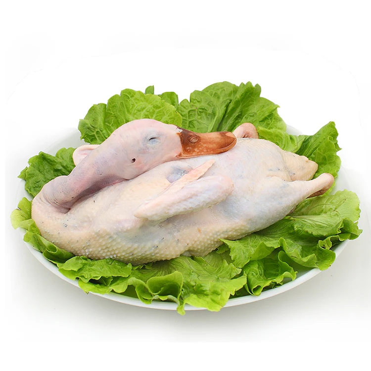 High Quality Grade Halal Frozen whole duck