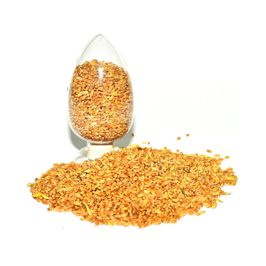Top sale wheat grain for animal feeding from Russia, wheat grain whole organic