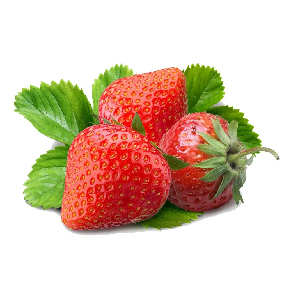 Wholesale Fruits IQF new fresh Frozen fresh Strawberry from Austria