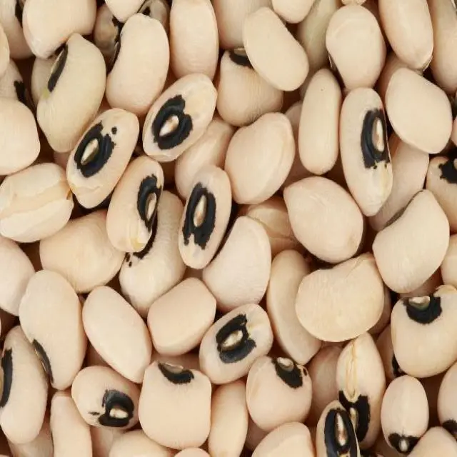 Top quality Black Eyed Beans Cowpeas Black Eye Vigna Beans (Ukraine)