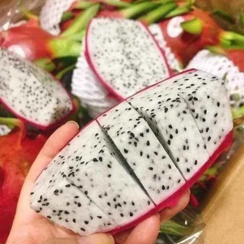 
100% Fresh Super Delicious Taste Premium Quality Dragon Fruit Whole Fruit Export From Vietnam 