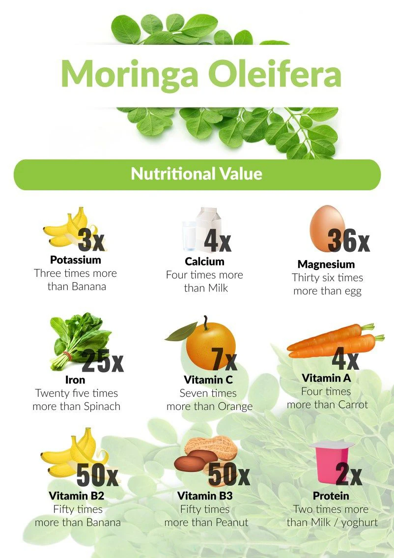 Moringa Leaf Powder Superfood Supplement Bulk Supply Healthcare Supply | Bulk Supply | Leaf Powder