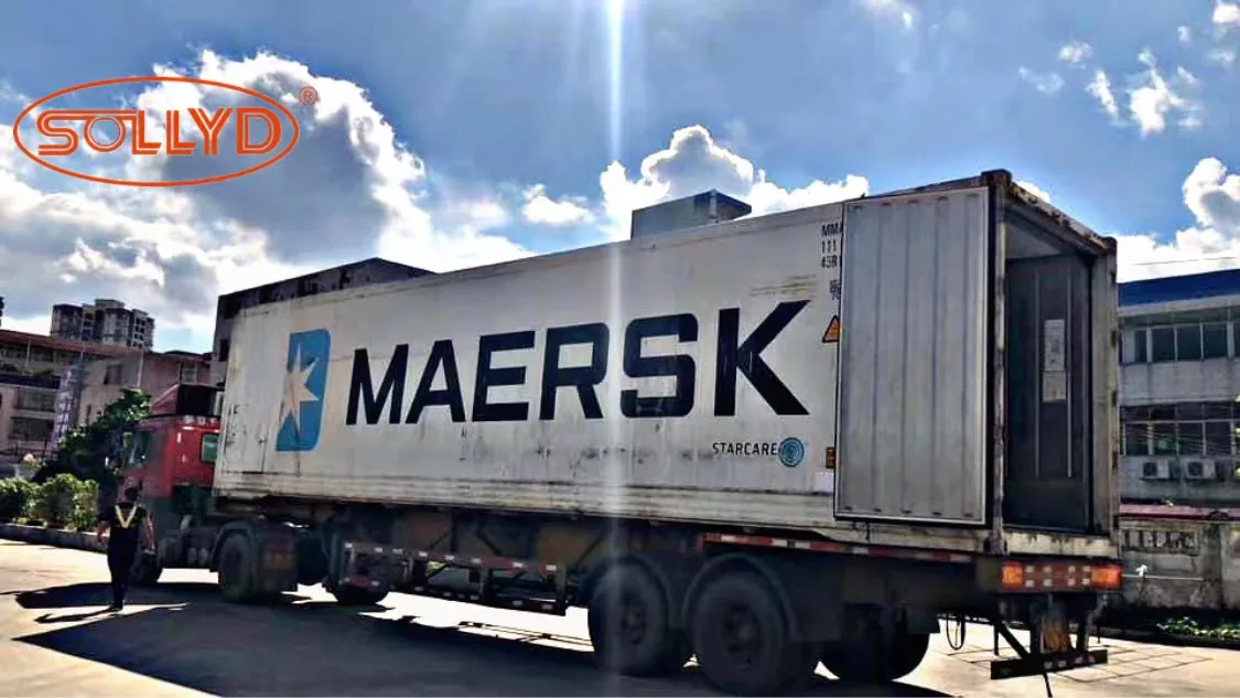 sollyd shipment1.jpg