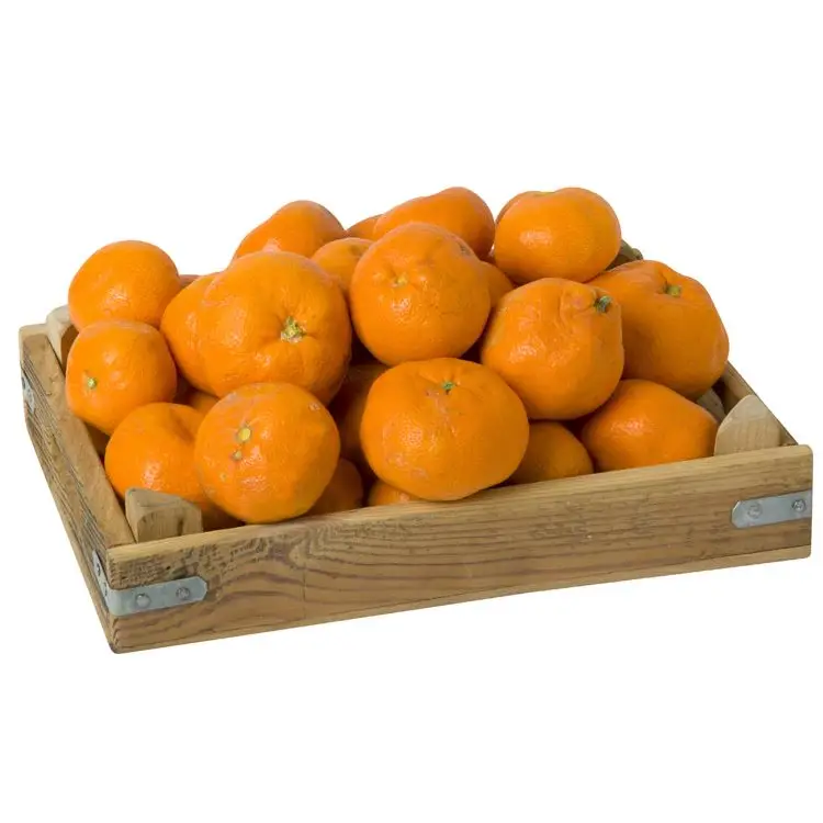 PREMIUM QUALITY NATURAL CLEMENTINE FREMONT SATSUMA PRIMASOL NOVA SWEET FRESH TANGERINE MANDARIN EXPORT FROM TURKEY